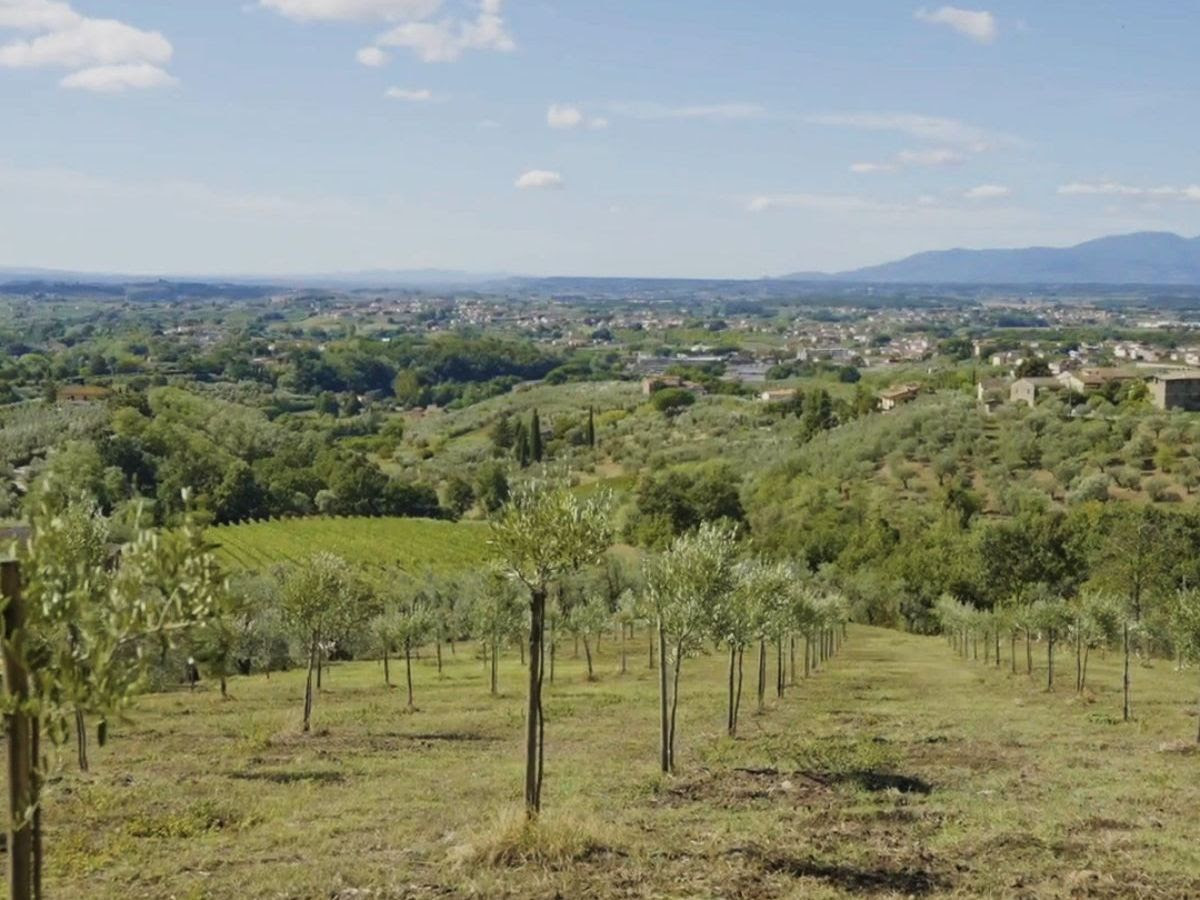 foto psr toscana n. 14