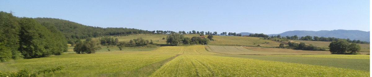 paesaggio rurale