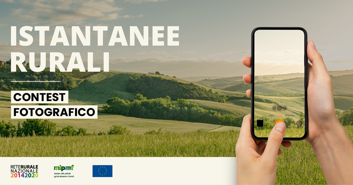 RETE RURALE FOTO