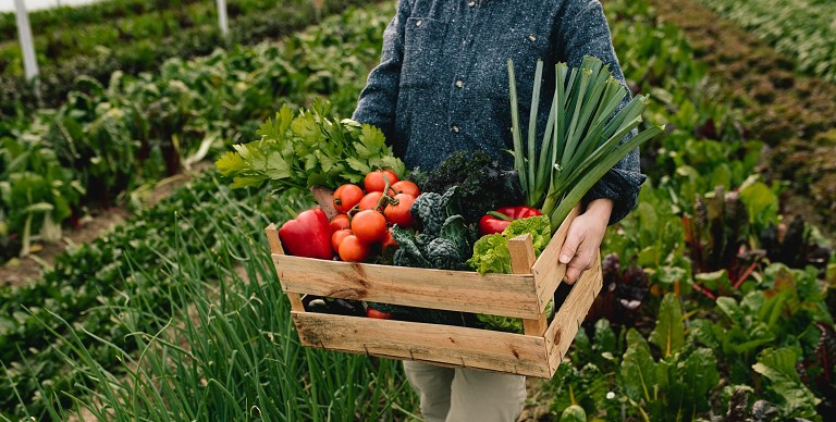 foto azienda agricola